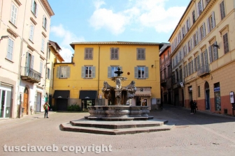 La fontana dei leoni