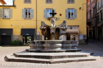 La fontana dei leoni