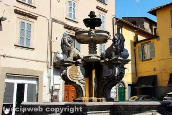 La fontana dei leoni