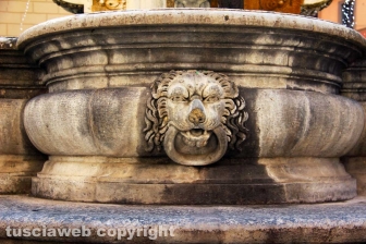 La fontana dei leoni