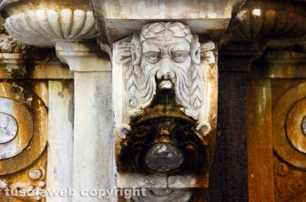 La fontana dei leoni
