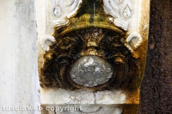 La fontana dei leoni