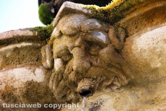 La fontana dei leoni