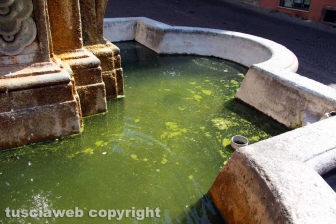 La fontana dei leoni