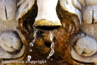 La fontana dei leoni