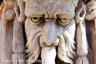 La fontana dei leoni