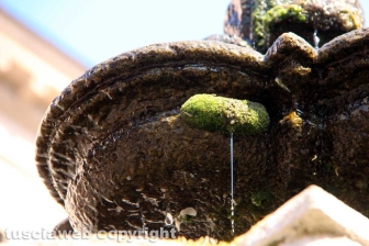 La fontana dei leoni