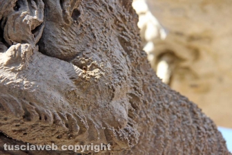 La fontana dei leoni
