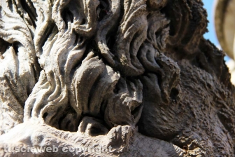 La fontana dei leoni