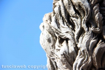 La fontana dei leoni