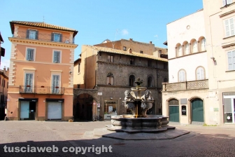 La fontana dei leoni