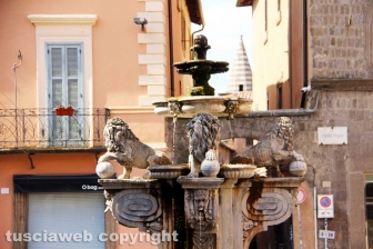 La fontana dei leoni