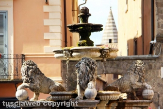 La fontana dei leoni