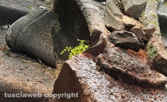 La fontana del Gambero deturpata