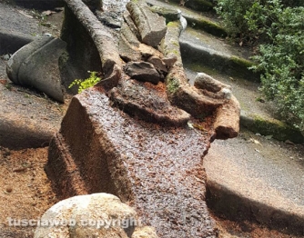 La fontana del Gambero deturpata