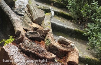 La fontana del Gambero deturpata