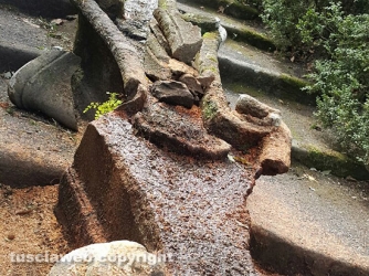 La fontana del Gambero deturpata