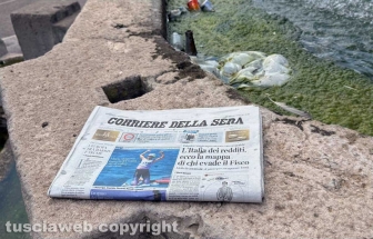 Viterbo - Melma, immondizia, vespe nelle vasche della fontana del Vignola a piazza della Rocca - Foto realizzata il 5 agosto 2024 alle ore 12,57 minuto più minuto meno
