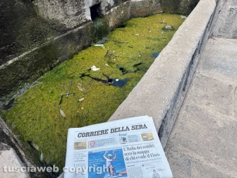 Viterbo - Melma, immondizia, vespe nelle vasche della fontana del Vignola a piazza della Rocca - Foto realizzata il 5 agosto 2024 alle ore 12,57 minuto più minuto meno