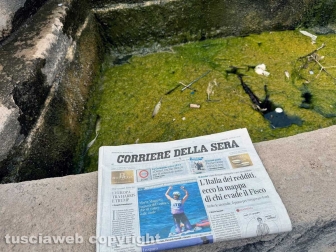 Viterbo - Melma, immondizia, vespe nelle vasche della fontana del Vignola a piazza della Rocca - Foto realizzata il 5 agosto 2024 alle ore 12,57 minuto più minuto meno