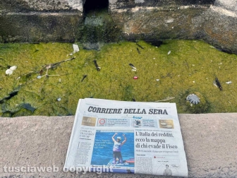 Viterbo - Melma, immondizia, vespe nelle vasche della fontana del Vignola a piazza della Rocca - Foto realizzata il 5 agosto 2024 alle ore 12,57 minuto più minuto meno