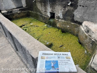 Viterbo - Melma, immondizia, vespe nelle vasche della fontana del Vignola a piazza della Rocca - Foto realizzata il 5 agosto 2024 alle ore 12,57 minuto più minuto meno