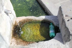 La fontana del Vignola lercia