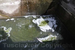 La fontana del Vignola lercia