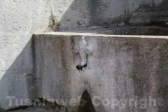 La fontana del Vignola lercia