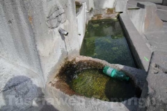 La fontana del Vignola lercia