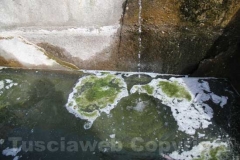 La fontana del Vignola lercia