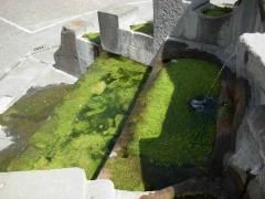 La fontana del Vignola sommersa dalla melma