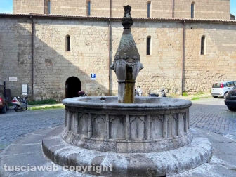 La fontana di piazza Dante