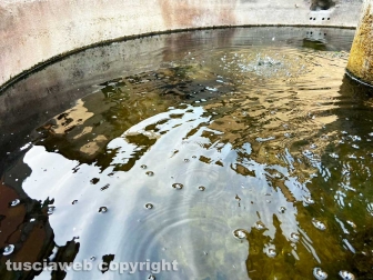 La fontana di piazza Dante