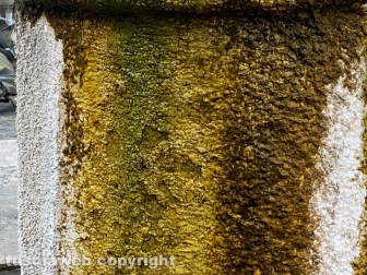 La fontana di piazza Dante