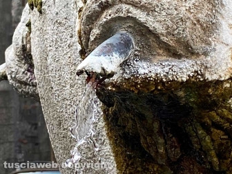 La fontana di piazza Dante
