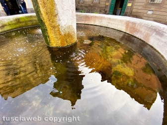 La fontana di piazza Dante