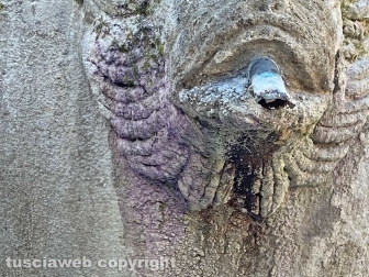 La fontana di piazza Dante
