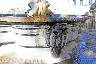 Viterbo - La fontana di piazza del Comune