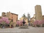 La fontana di piazza del Gesù