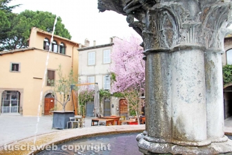 Viterbo - La fontana di piazza del Gesù