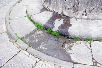 Viterbo - La fontana di piazza della Morte
