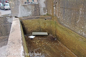 Viterbo - La fontana di piazza della Rocca