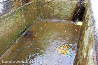 Viterbo - La fontana di piazza della Rocca