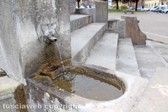 Viterbo - La fontana di piazza della Rocca