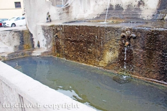 Viterbo - La fontana di piazza della Rocca
