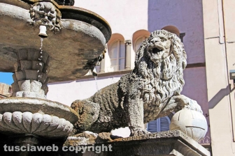 Viterbo - La fontana di piazza delle Erbe
