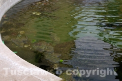 La fontana di piazza san Faustino tra crepe e melma