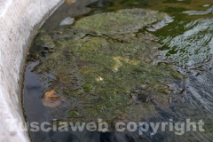 La fontana di piazza san Faustino tra crepe e melma