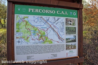 La forma della città